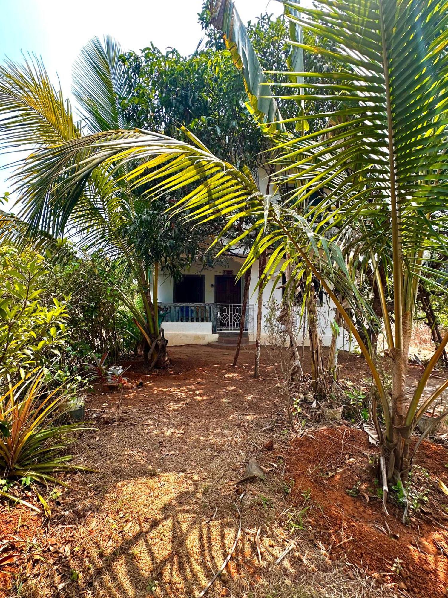 Evaddo Homes Mandrem Bagian luar foto